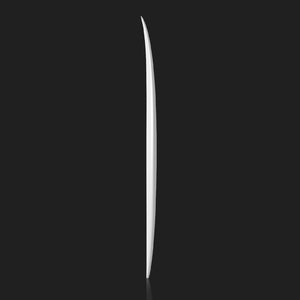 TEST        SHOT 13 - PINTAIL